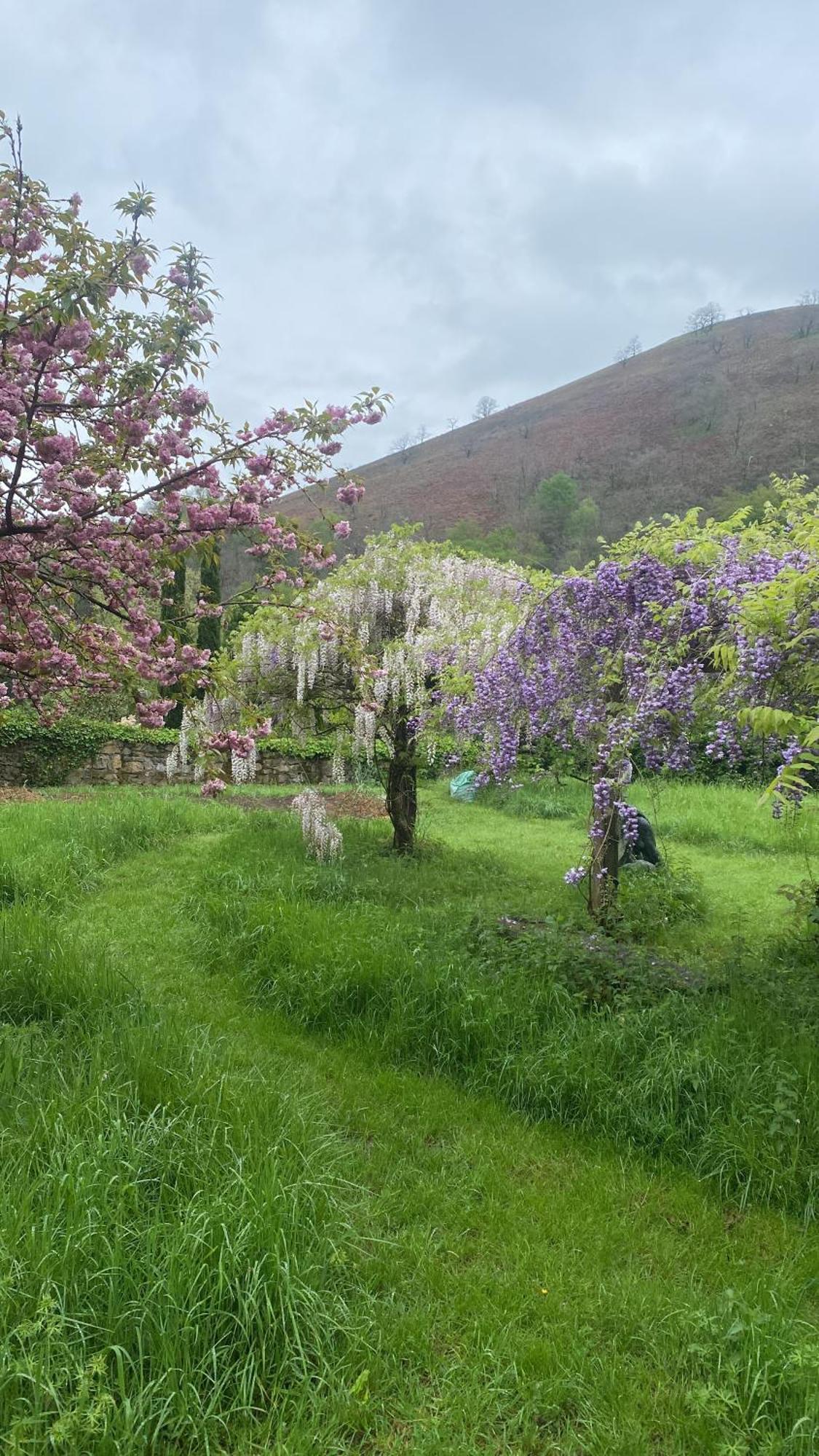 Appartamento Etxe Arrosa Saint-Martin-dʼArrossa Esterno foto